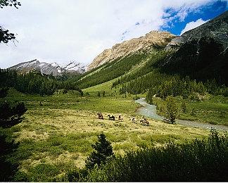 策略肉鸽游戏《Oaken》上线Steam 支持简体中文