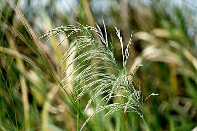 《漫威银河护卫队》团队谈游戏音乐 特制新专辑星爵